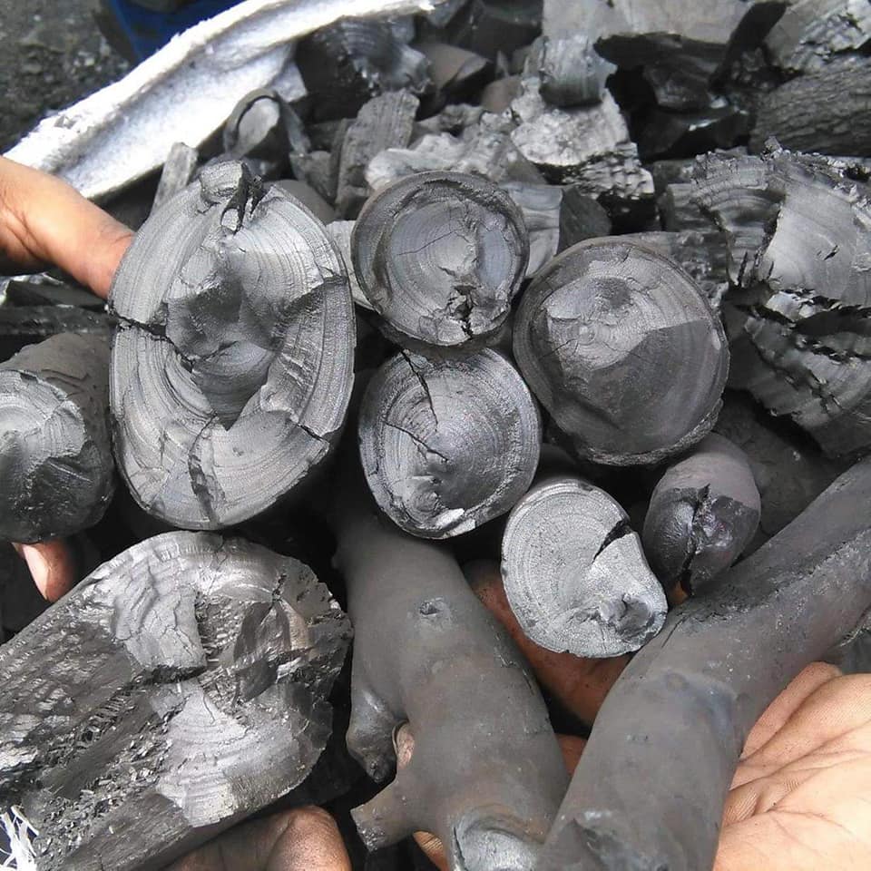 شركة فحم في السودان