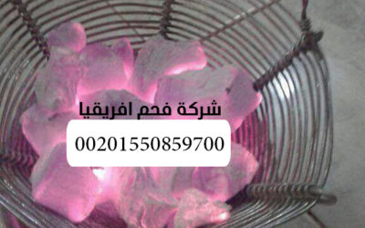 فحم الشيشة
